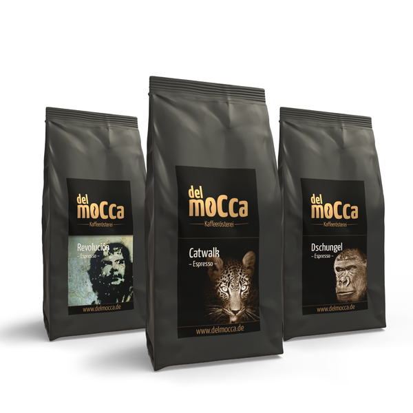 Probierpaket "Koffeinkick"