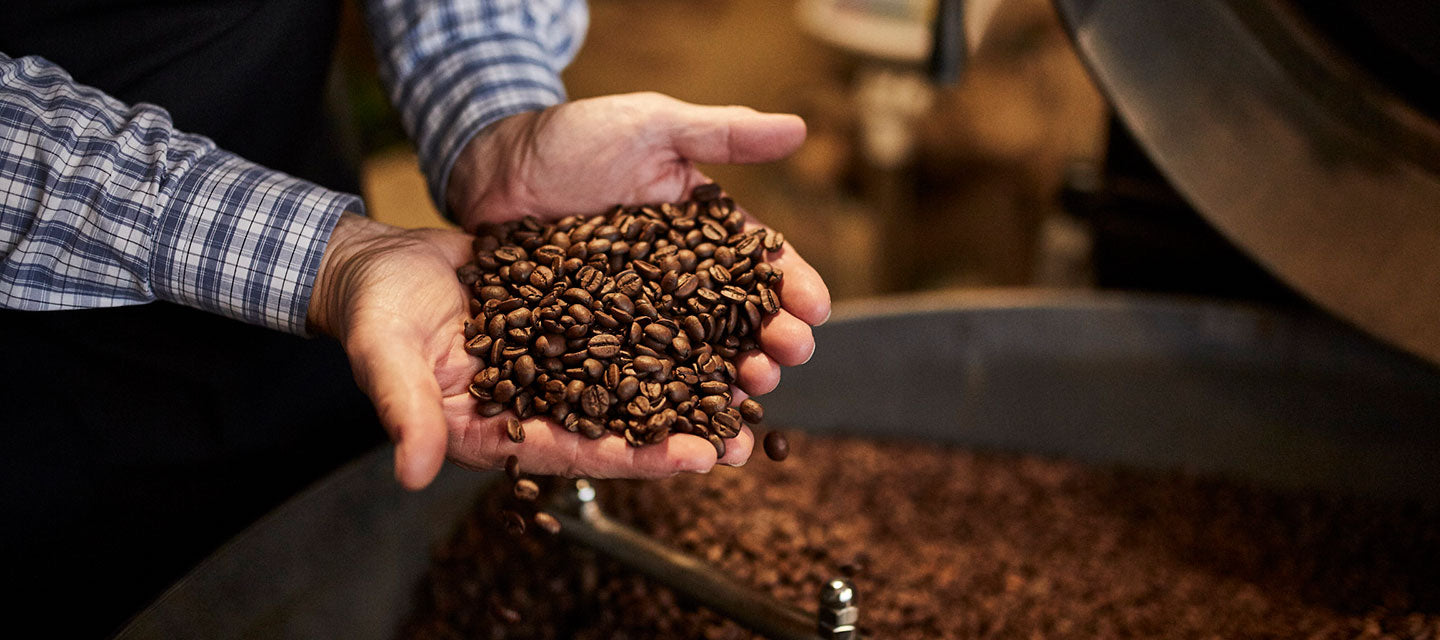 Ein Röstmeister hält frische Kaffeebohnen in der Hand