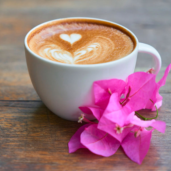 sanft geröstete Kaffees